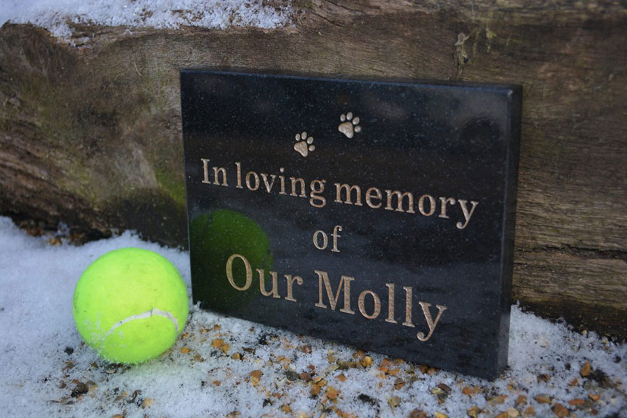 pet memorial