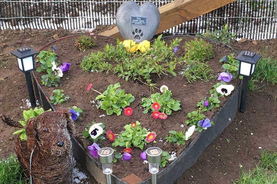 special pet memorial